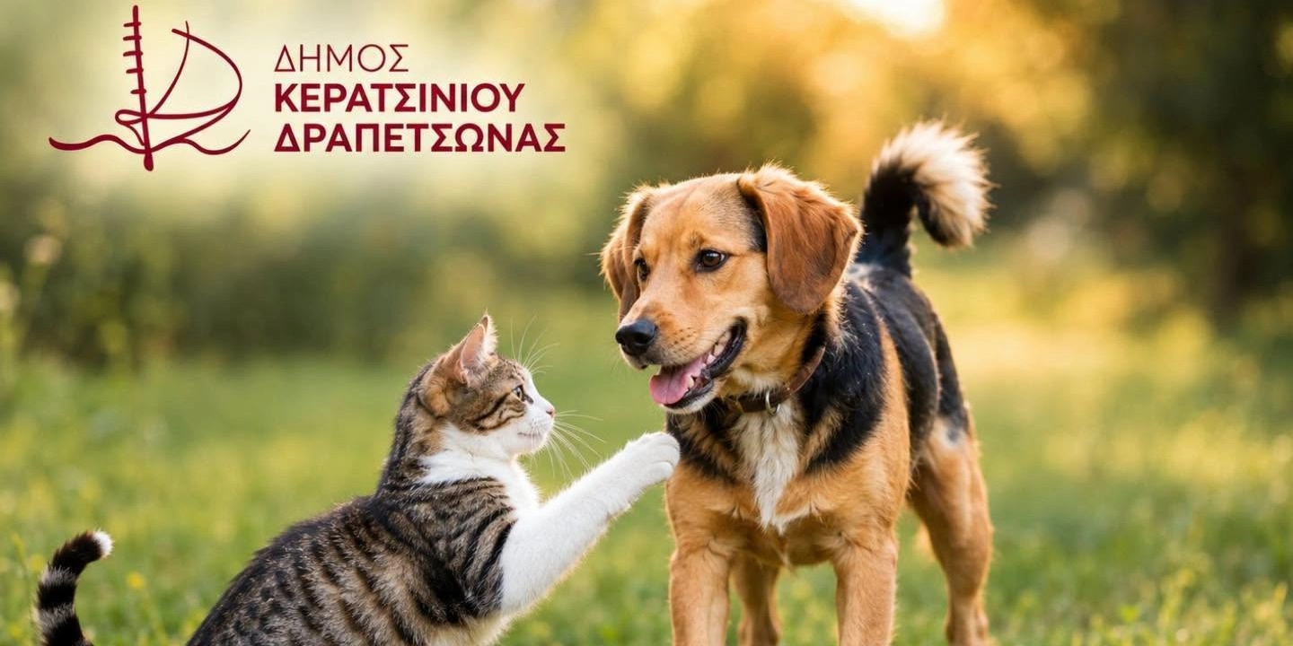 &Lambda;&Epsilon;&Iota;&Tau;&Omicron;&Upsilon;&Rho;&Gamma;&Iota;&Alpha; &Nu;&Epsilon;&Omicron;&Upsilon; &Tau;&Mu;&Eta;&Mu;&Alpha;&Tau;&Omicron;&Sigma; &Pi;&Rho;&Omicron;&Sigma;&Tau;&Alpha;&Sigma;&Iota;&Alpha;&Sigma; &Delta;&Epsilon;&Sigma;&Pi;&Omicron;&Zeta;&Omicron;&Mu;&Epsilon;&Nu;&Omega;&Nu; &Kappa;&Alpha;&Iota; &Alpha;&Delta;&Epsilon;&Sigma;&Pi;&Omicron;&Tau;&Omega;&Nu; &Zeta;&Omega;&Omega;&Nu; &Sigma;&Upsilon;&Nu;&Tau;&Rho;&Omicron;&Phi;&Iota;&Alpha;&Sigma; 