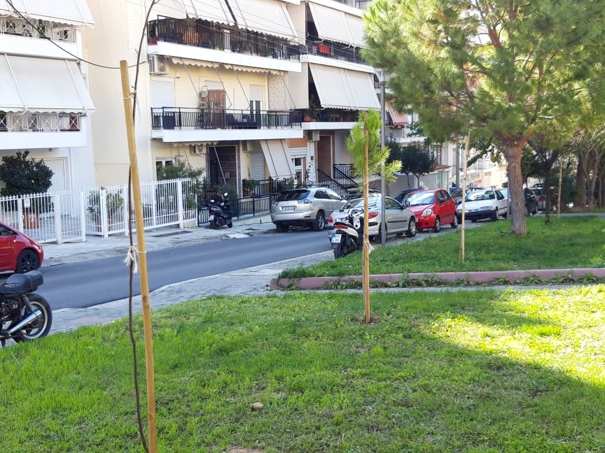 &Sigma;&Upsilon;&Mu;&Pi;&Lambda;&Eta;&Rho;&Omega;&Mu;&Alpha;&Tau;&Iota;&Kappa;&Epsilon;&Sigma; &Phi;&Upsilon;&Tau;&Epsilon;&Upsilon;&Sigma;&Epsilon;&Iota;&Sigma; &Kappa;&Alpha;&Iota; &Sigma;&Tau;&Alpha;&Delta;&Iota;&Alpha;&Kappa;&Epsilon;&Sigma; &Alpha;&Nu;&Tau;&Iota;&Kappa;&Alpha;&Tau;&Alpha;&Sigma;&Tau;&Alpha;&Sigma;&Epsilon;&Iota;&Sigma; &Gamma;&Epsilon;&Rho;&Alpha;&Sigma;&Mu;&Epsilon;&Nu;&Eta;&Sigma; &Beta;&Lambda;&Alpha;&Sigma;&Tau;&Eta;&Sigma;&Eta;&Sigma; &Sigma;&Tau;&Omicron; &Delta;&Eta;&Mu;&Omicron; &Kappa;&Epsilon;&Rho;&Alpha;&Tau;&Sigma;&Iota;&Nu;&Iota;&Omicron;&Upsilon;-&Delta;&Rho;&Alpha;&Pi;&Epsilon;&Tau;&Sigma;&Omega;&Nu;&Alpha;&Sigma;