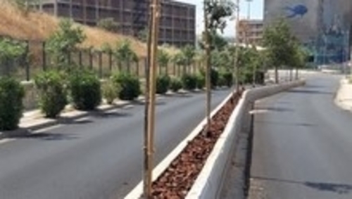 &Epsilon;&Rho;&Gamma;&Alpha;&Sigma;&Iota;&Epsilon;&Sigma; &Phi;&Upsilon;&Tau;&Epsilon;&Psi;&Eta;&Sigma; &Kappa;&Alpha;&Iota; &Epsilon;&Delta;&Alpha;&Phi;&Omicron;&Kappa;&Alpha;&Lambda;&Upsilon;&Psi;&Eta;&Sigma; &Sigma;&Tau;&Eta;&Nu; &Omicron;&Delta;&Omicron; &Kappa;&Alpha;&Nu;&Alpha;&Rho;&Eta; &Sigma;&Tau;&Omicron; &Kappa;&Alpha;&Sigma;&Tau;&Rho;&Alpha;&Kappa;&Iota; &Delta;&Rho;&Alpha;&Pi;&Epsilon;&Tau;&Sigma;&Omega;&Nu;&Alpha;&Sigma;