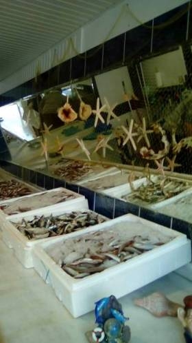 200 &Kappa;&Iota;&Lambda;&Alpha; &Phi;&Rho;&Epsilon;&Sigma;&Kappa;&Alpha; &Psi;&Alpha;&Rho;&Iota;&Alpha; &Mu;&Omicron;&Iota;&Rho;&Alpha;&Sigma;&Epsilon; &Sigma;&Epsilon; &Delta;&Iota;&Kappa;&Alpha;&Iota;&Omicron;&Upsilon;&Chi;&Omicron;&Upsilon;&Sigma; &Tau;&Omicron; &Kappa;&Omicron;&Iota;&Nu;&Omega;&Nu;&Iota;&Kappa;&Omicron; &Iota;&Chi;&Theta;&Upsilon;&Omicron;&Pi;&Omega;&Lambda;&Epsilon;&Iota;&Omicron;