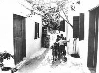 Περπατάμε στις γειτονιές της Δραπετσώνας
