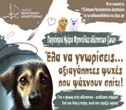 4 ΑΠΡΙΛΙΟΥ ΠΑΓΚΟΣΜΙΑ ΗΜΕΡΑ ΑΔΕΣΠΟΤΩΝ ΖΩΩΝ - ΗΜΕΡΑ ΥΙΟΘΕΣΙΑΣ ΚΥΡΙΑΚΗ 6/4/2025