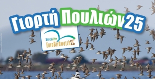 ΕΥΡΩΠΑΪΚΗ ΓΙΟΡΤΗ ΤΩΝ ΠΟΥΛΙΩΝ 2025 ΣΤΟ ΠΑΡΚΟ ΣΕΛΕΠΙΤΣΑΡΙ