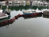 Περιβαλλοντικό έγκλημα από τη ΔΕΗ στο «λιμανάκι των ψαράδων» 