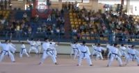 ΟΙ ΑΚΑΔΗΜΙΕΣ ΡΥΘΜΙΚΗΣ ΚΑΙ ΠΟΛΕΜΙΚΩΝ ΤΕΧΝΩΝ ΤΗΣ ΔΗΚΕΠΑ «ΕΚΛΕΨΑΝ» ΤΗΝ ΠΑΡΑΣΤΑΣΗ