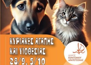 ΚΥΡΙΑΚΕΣ ΥΙΟΘΕΣΙΑΣ ΑΔΕΣΠΟΤΩΝ