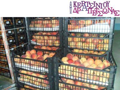 Δωρεάν διανομή φρούτων στους δικαιούχους κάρτας σίτισης