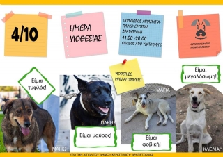 ΗΜΕΡΑ ΥΙΟΘΕΣΙΑΣ ΤΕΤΡΑΠΟΔΩΝ ΦΙΛΩΝ!